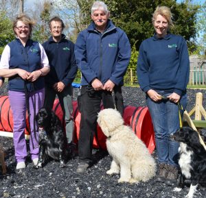 toy cat that purrs and meows